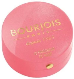 Bourjois Little Rount Pot Blush 095 Rose De Jaspe -Cosmetica Winkel 1129x1200 3