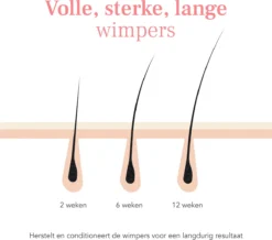 Lashive Wimperserum - Wimper Groeiserum - 3 Ml - Wenkbrauw Serum - Lash Lift Kit - Lashserum 9 Lashive Wimperserum - Wimper Groeiserum - 3 Ml - Wenkbrauw Serum - Lash Lift Kit - Lashserum -Cosmetica Winkel 1200x1060 1