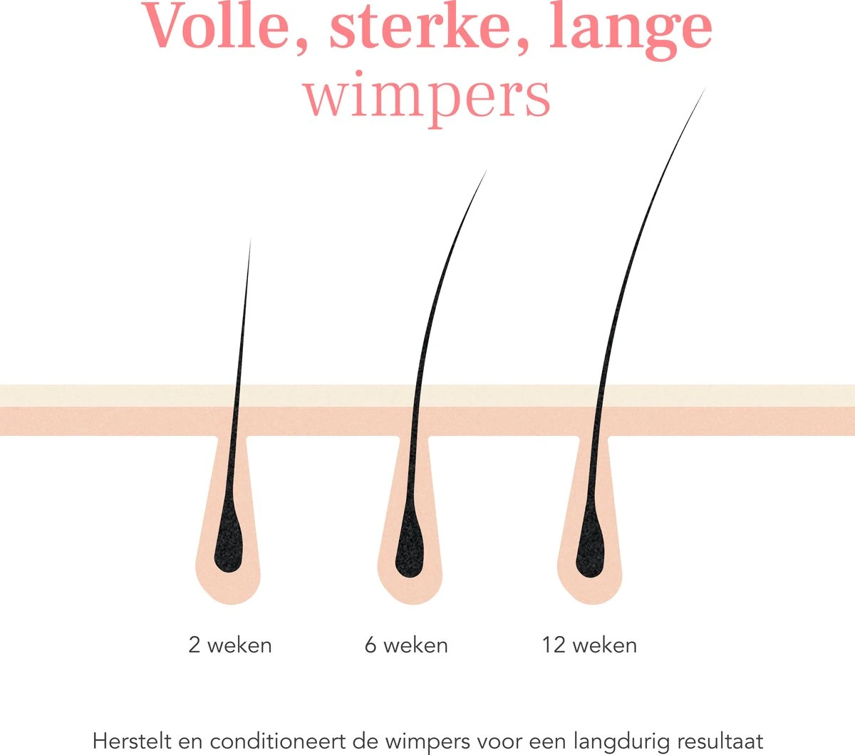 Lashive Wimperserum - Wimper Groeiserum - 3 Ml - Wenkbrauw Serum - Lash Lift Kit - Lashserum 5 Lashive Wimperserum - Wimper Groeiserum - 3 Ml - Wenkbrauw Serum - Lash Lift Kit - Lashserum - Afbeelding 5