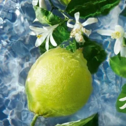 Guerlain - Aqua Allegoria Bergamote Calabria - Eau De Toilette - 75ML -Cosmetica Winkel 1200x1200 1191