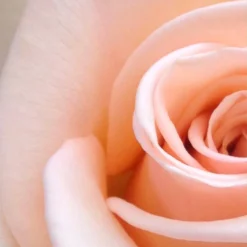 Spider-Man Eau De Toilette Spray - 100 Ml - Parfum Voor Kinderen -Cosmetica Winkel 1200x1200 1276