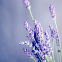 Spider-Man Eau De Toilette Spray - 100 Ml - Parfum Voor Kinderen -Cosmetica Winkel 1200x1200 1277