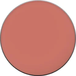 L'Oréal Paris True Match Blush - 145 Bois De Rose -Cosmetica Winkel 1200x1200 872