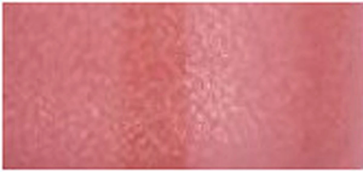 Bourjois Gloss Fabuleux Lipgloss - 4 Popular Pink 10 Bourjois Gloss Fabuleux Lipgloss - 4 Popular Pink - Afbeelding 10