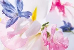 Dior Miss Vrouwen 100 Ml - Eau De Parfum - Damesparfum -Cosmetica Winkel 1200x800 31