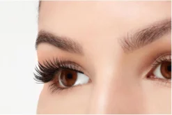 Ardell - Faux Mink Demi Wispies - Twin Pack - Zwart -Cosmetica Winkel 1200x804 1