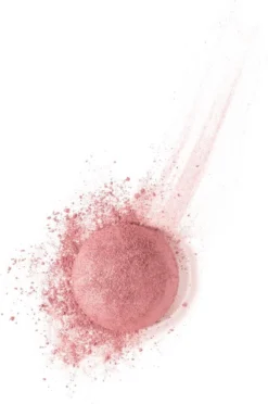 Bourjois Little Round Pot Blush - 33 Lilas D'Or -Cosmetica Winkel 796x1200 2