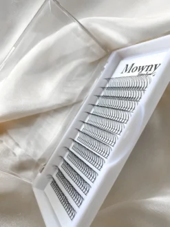 Mowny Beauty - Wimperextensions - 3D Premade Fans - 11mm 0,10mm D-krul - Natuurlijke Wimperextensions - Russisch Volume -Cosmetica Winkel 899x1200 10